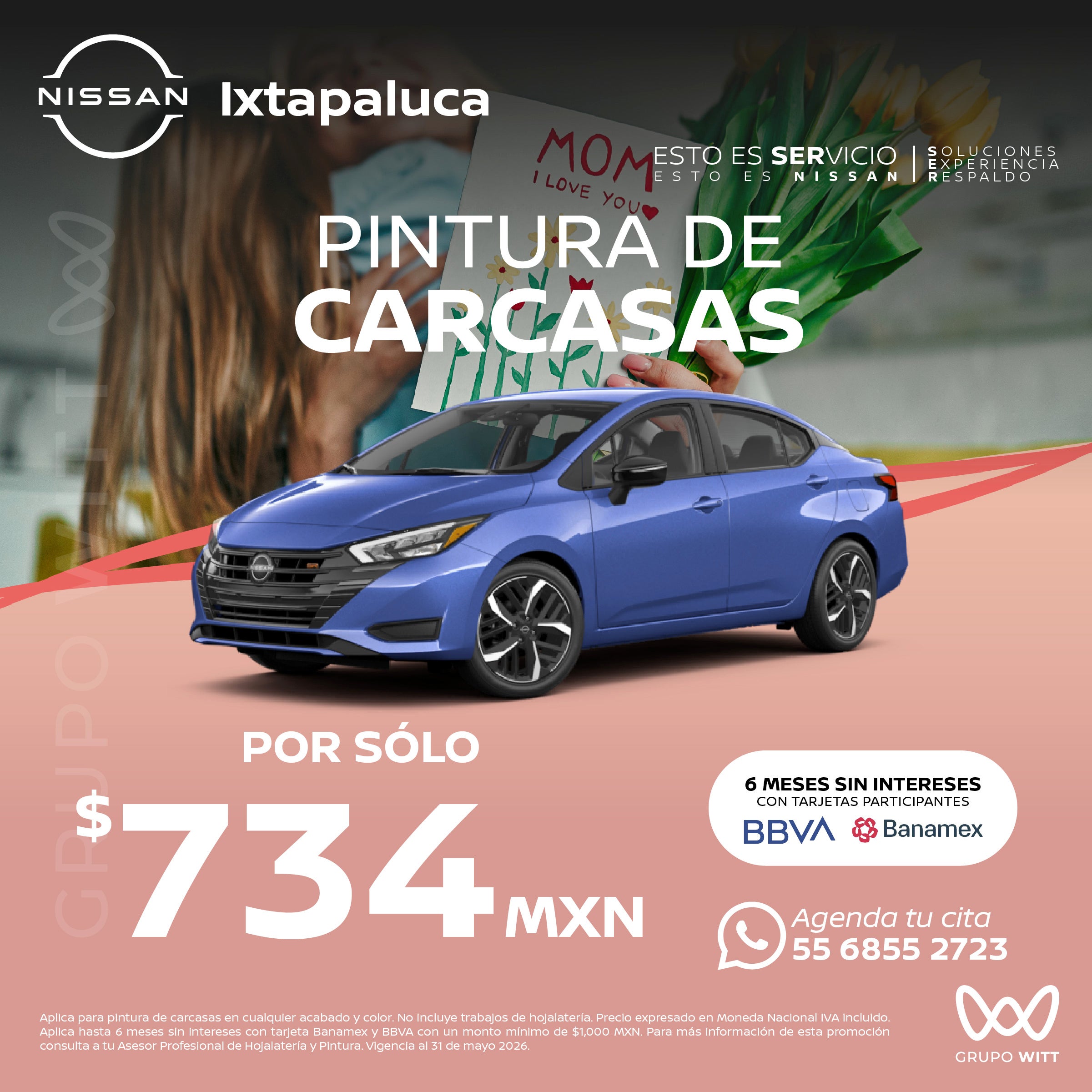 PINTURA DE CARCASAS